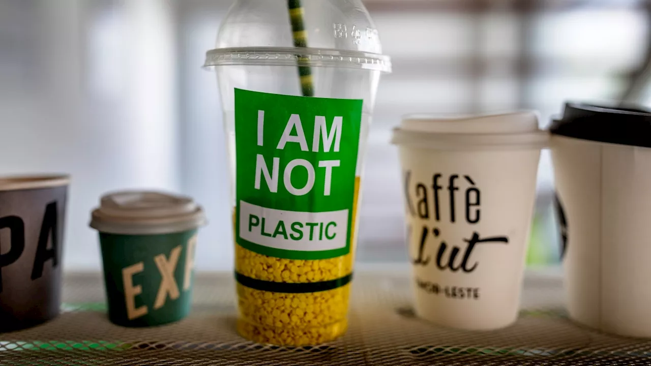 Plastic Pollution: A Growing Global Threat