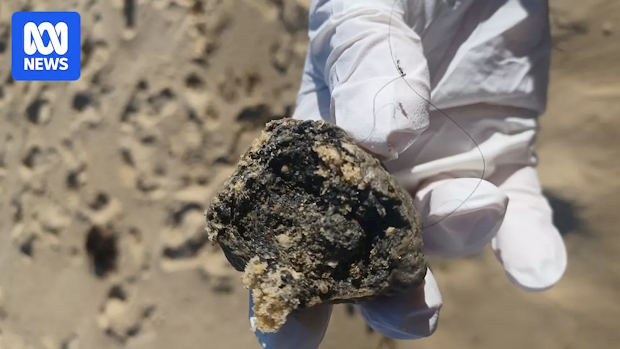 Fatty ball debris washing up on more NSW beaches, threatening tourism