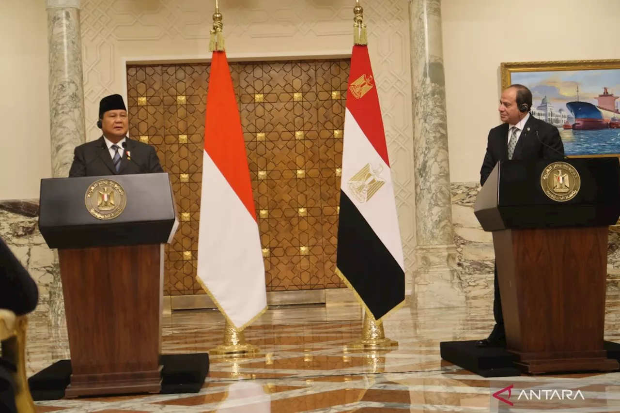 Indonesia dan Mesir Usulkan Perjanjian Kerja Sama Pertahanan