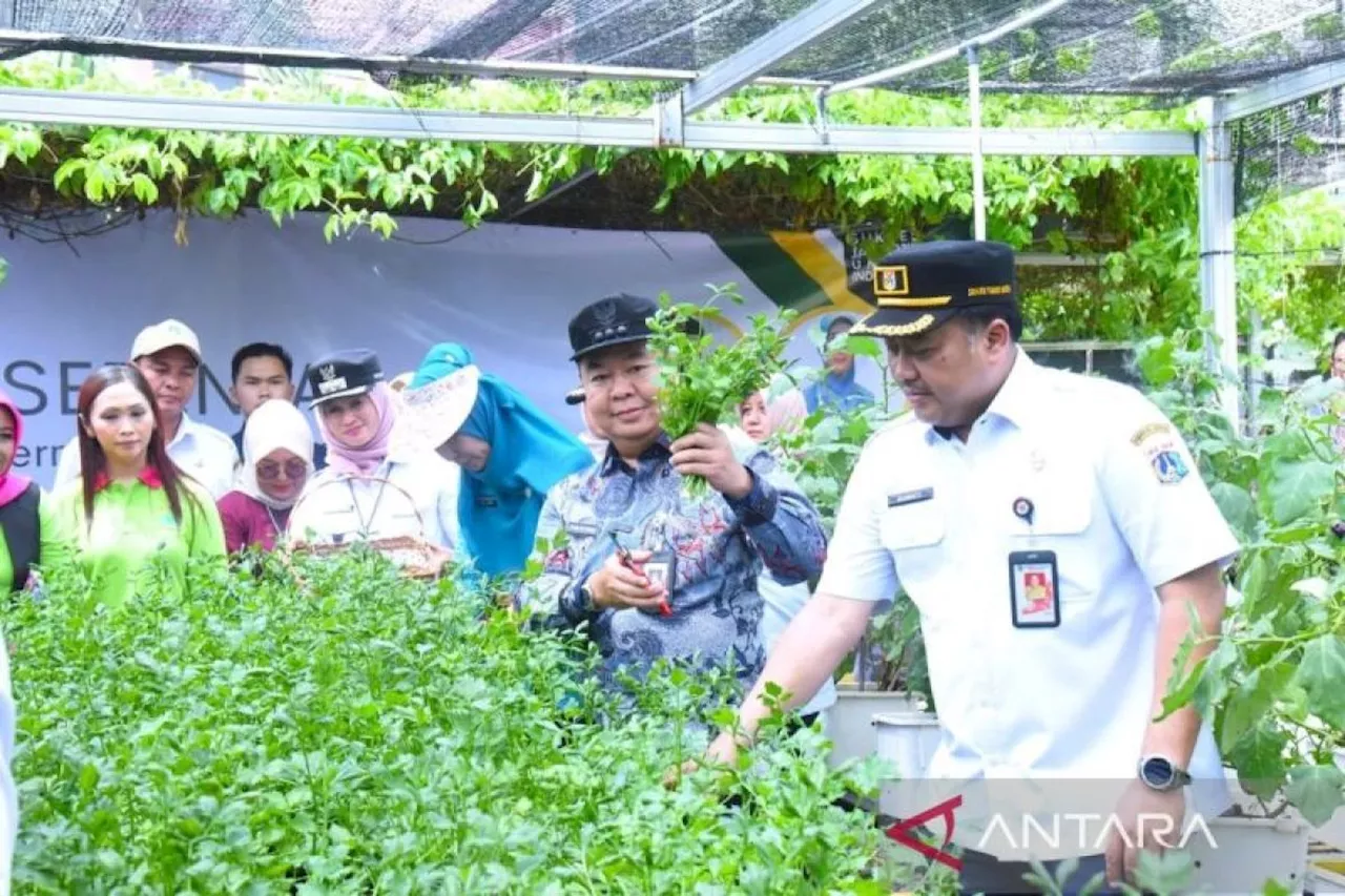 Jaktim Gelanggang Panen Raya Serentak di 240 Lokasi