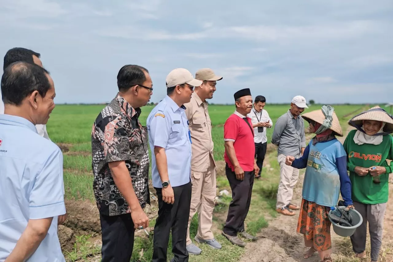 Pemkab Tangerang dan Cirebon Sepakati Kerja Sama Atasi Inflasi Harga Bawang Merah