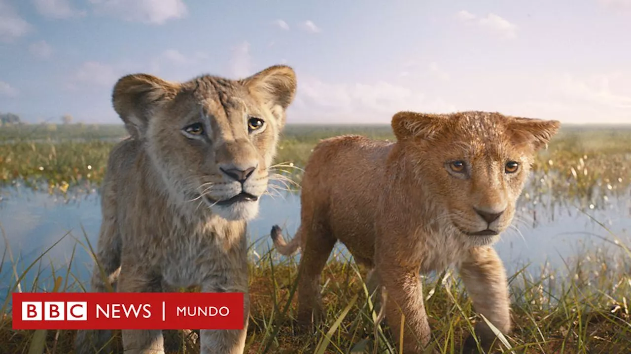 Contradice todo lo establecido en 'El rey león' la dura crítica de la BBC a 'Mufasa'