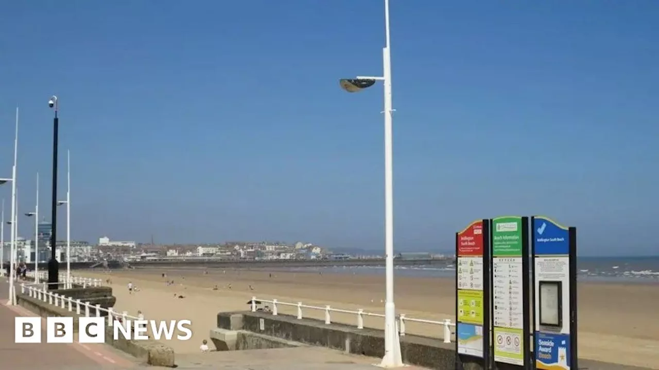 Boxing Day Swim to Go Ahead Despite Water Quality Concerns