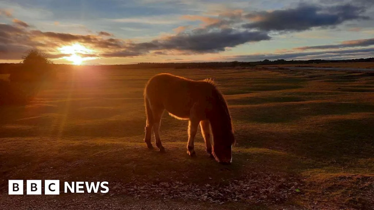 Share Your Images of Hampshire and Isle of Wight