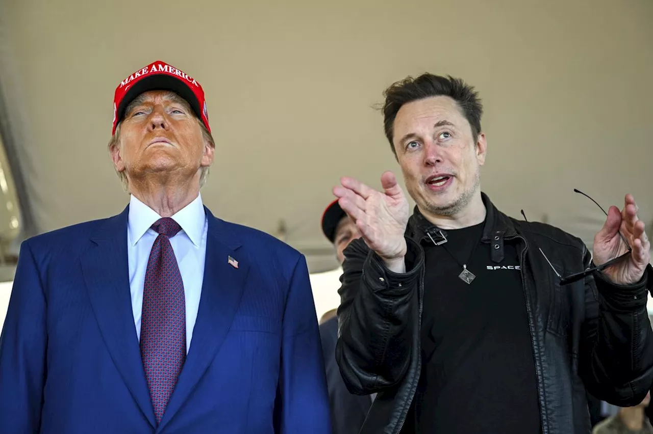 Elon Musk: US-Senatorin warnt vor Trumps «inoffiziellem Co-Präsidenten»