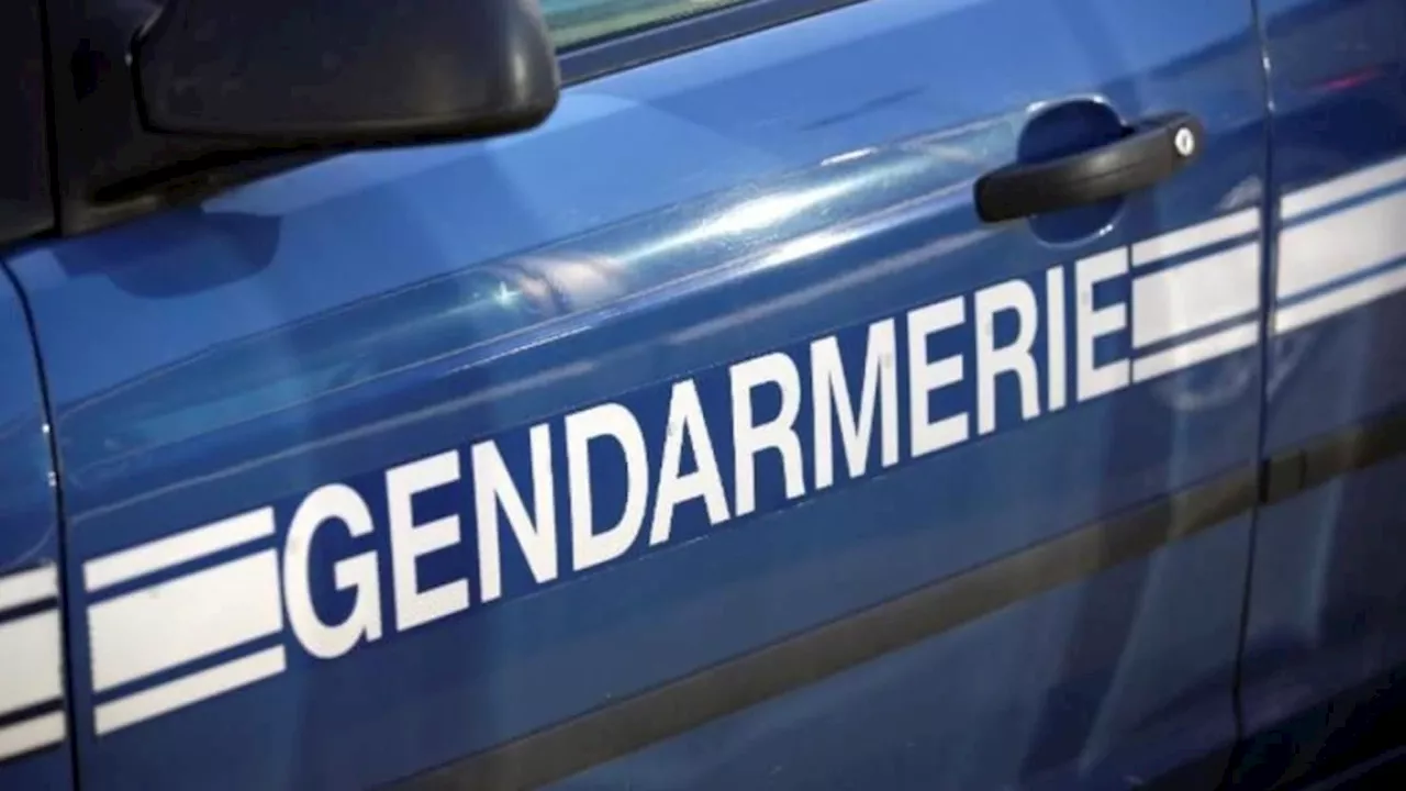 Rhône: un vaste réseau de blanchiment de véhicules volés découvert par la gendarmerie