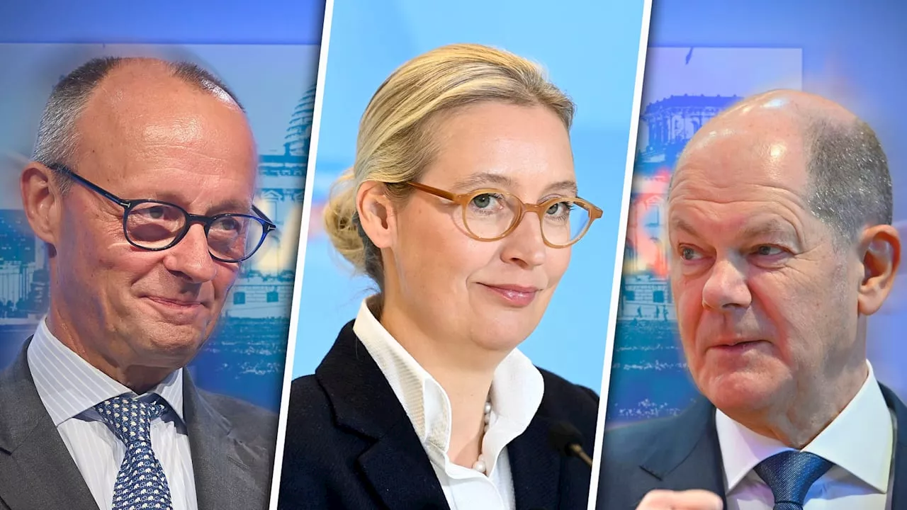 AfD wünscht sich Triell in ARD und ZDF