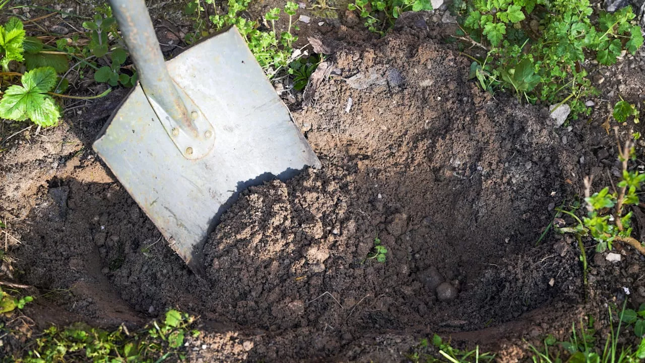 Experten sind begeistert: Mann macht in seinem Garten seltenen Fund