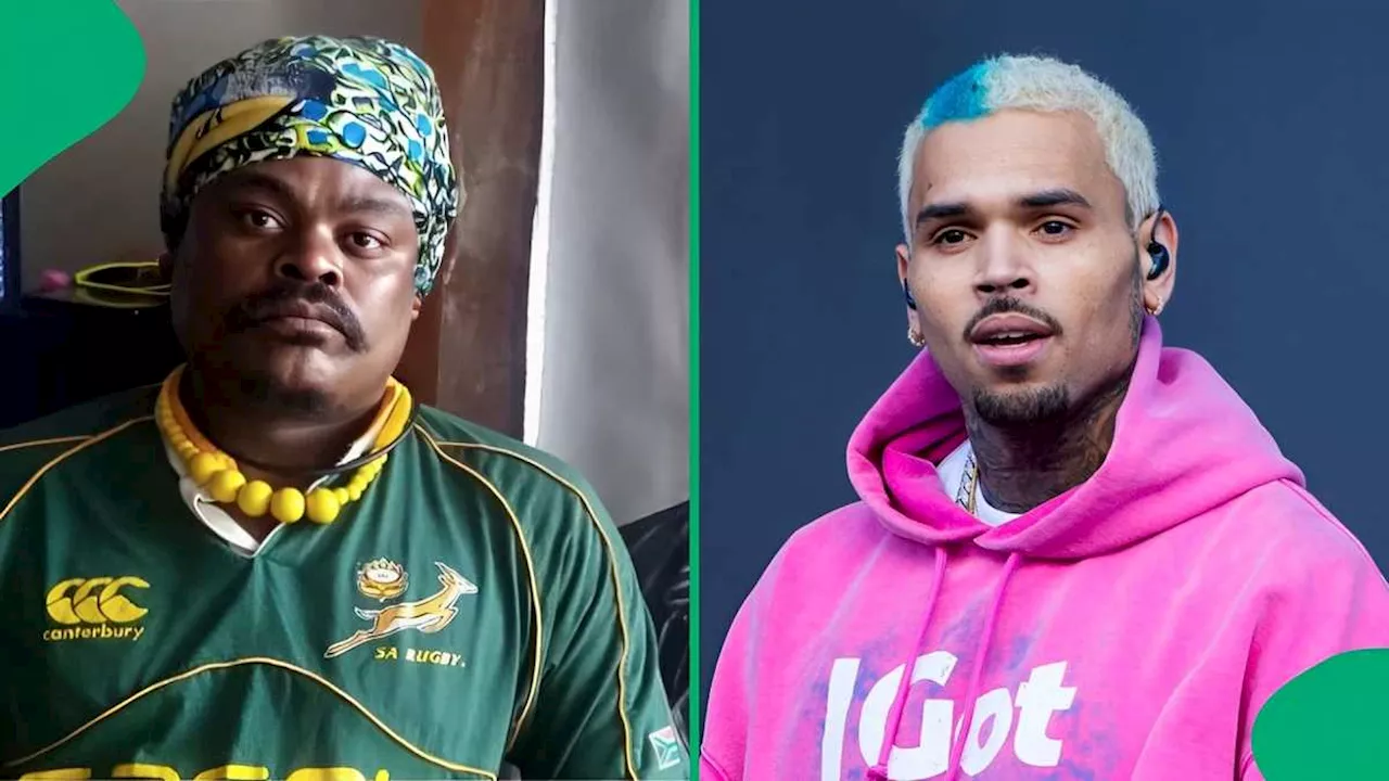 Rasta's Chris Brown Painting Leaves South Africa in Stitches