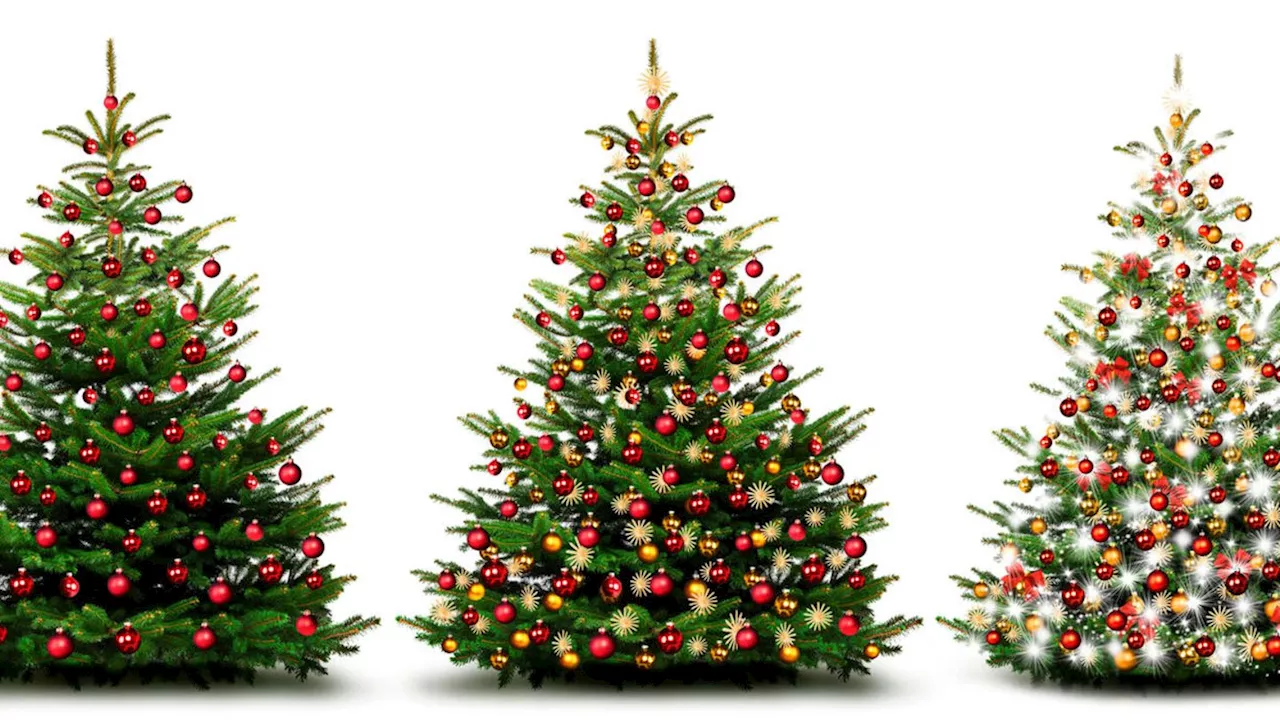 Weihnachtsbaum-Allergie: Symptome, Ursachen und Tipps