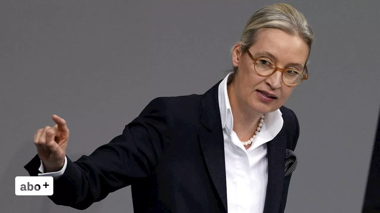 Weidel und Habeck fordern Platz an Scholz-Merz-Debatte