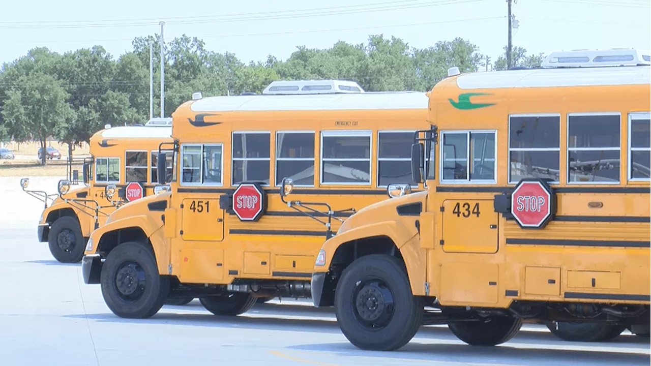 School Bus Driver Cited After Hitting Pedestrian in Cedar Park