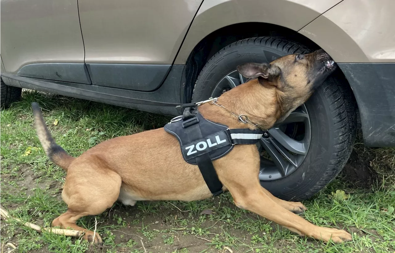 Zoll entdeckt 5,3 Kilogramm Heroin bei Autofahrer