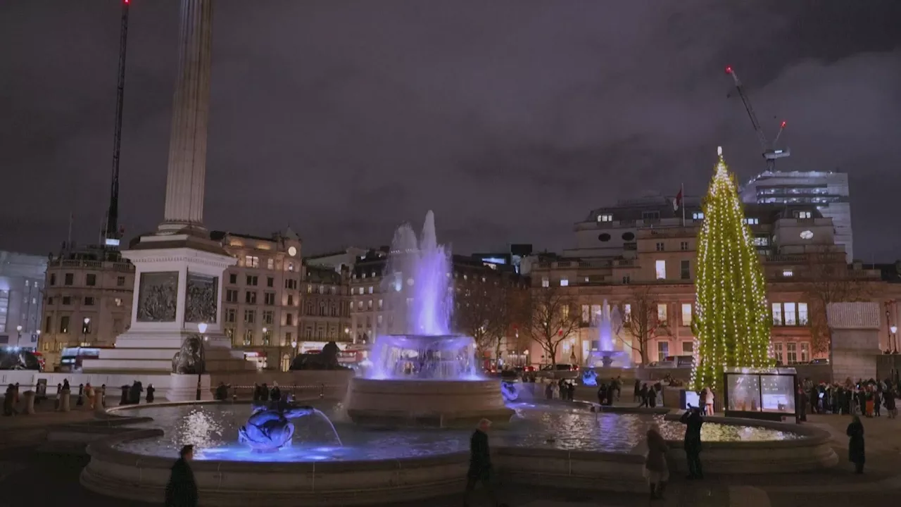 Árvore de Natal da Trafalgar Square Vira Meme nas Redes Sociais