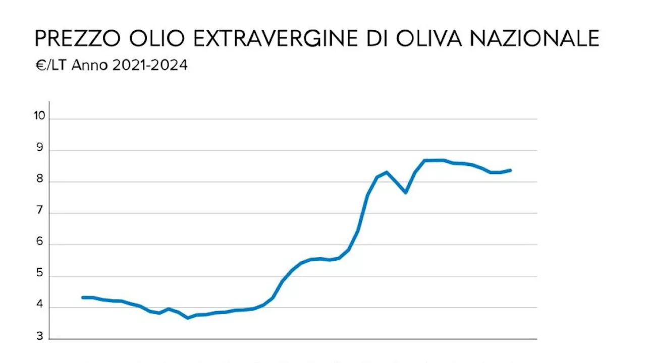 Il Prezzo dell'Olio Extravergine di Oliva Italiano Si E' Quadruplicato