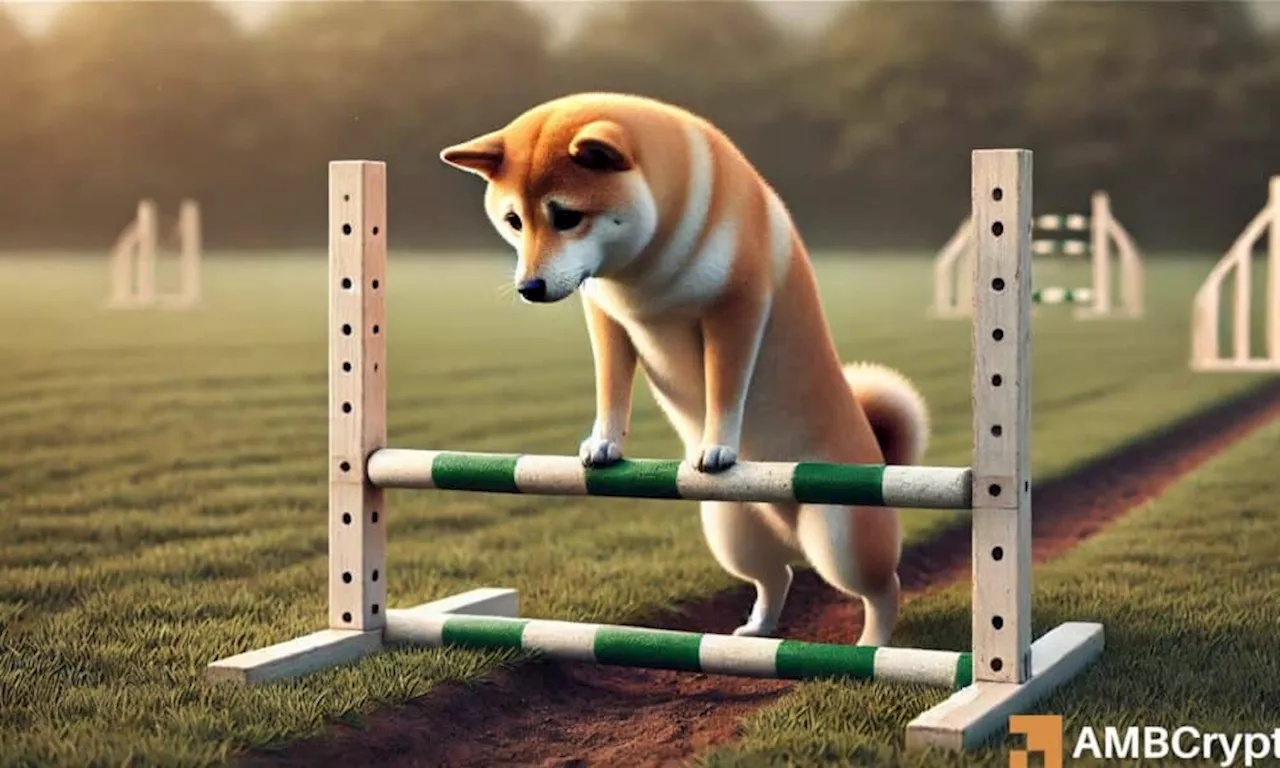 Dogecoin declines amid investor fatigue – Time to exit DOGE holdings?