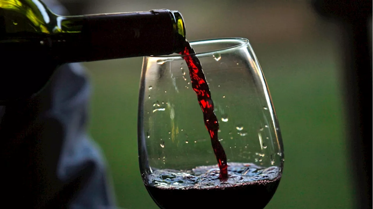 Moderate Wine Consumption Linked to Lower Heart Disease Risk