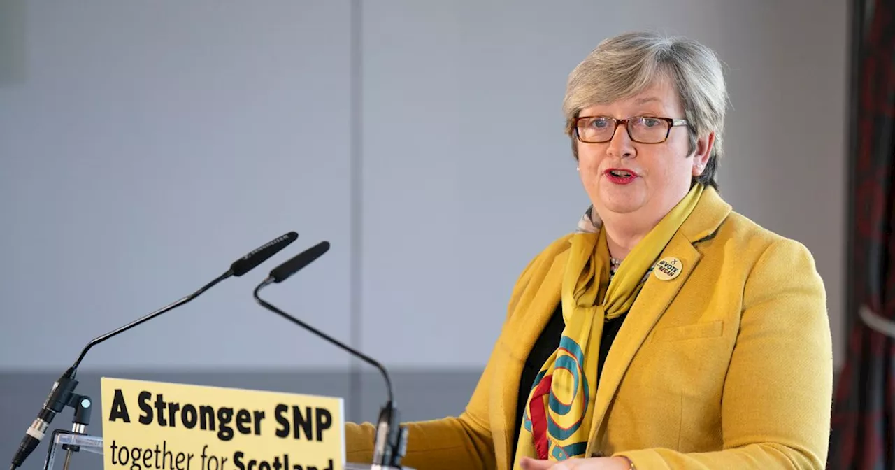 Former SNP MP Criticizes 'Career Politicians' as Yousaf Steps Back