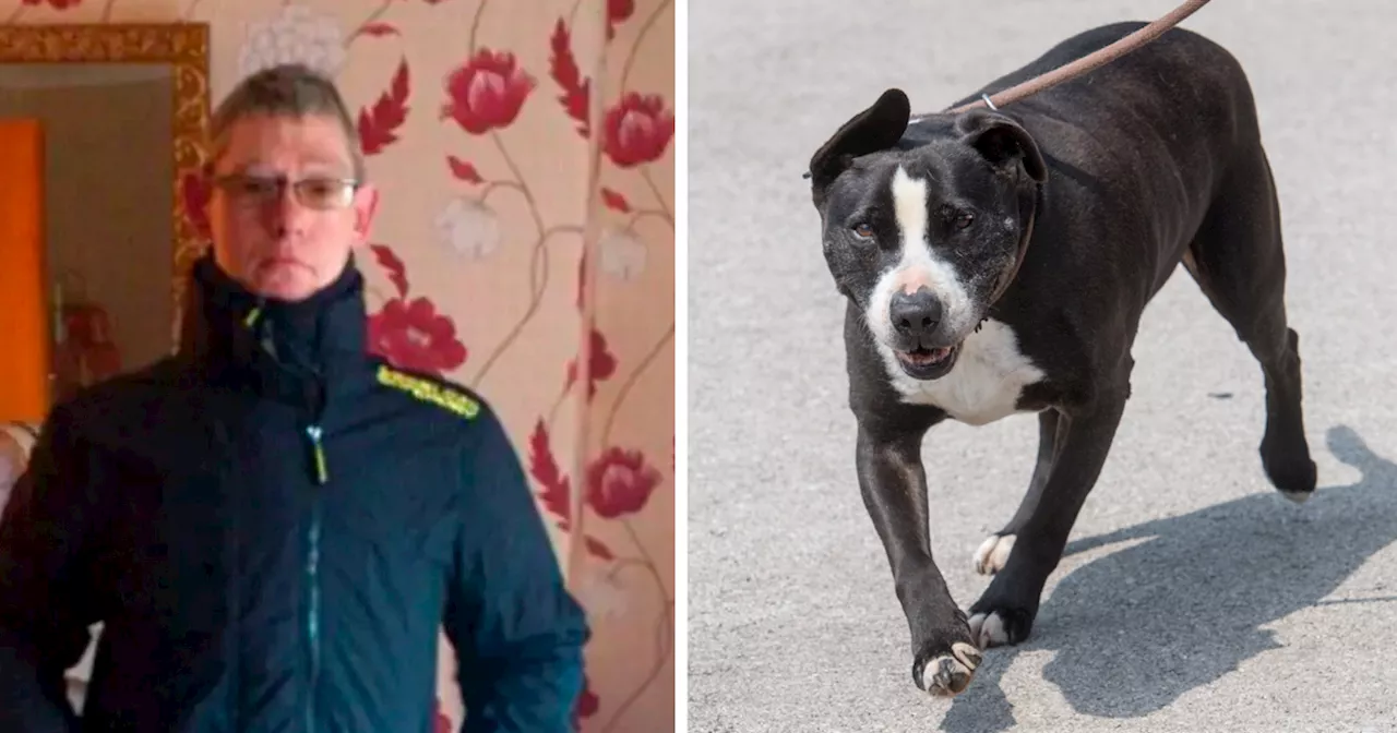 Man Banned From Owning Dogs After Pet Severely Bites Delivery Driver