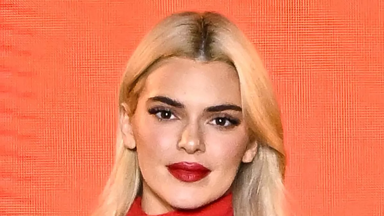 Kendall Jenner 'Catfished' by Fake Social Media Profile