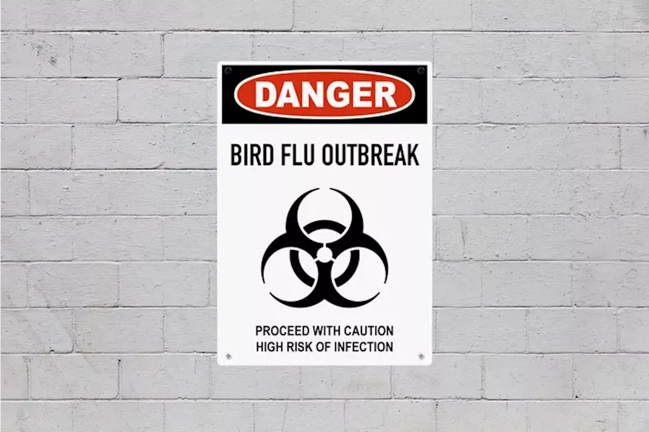 Human Bird Flu Infection Reported in Louisiana