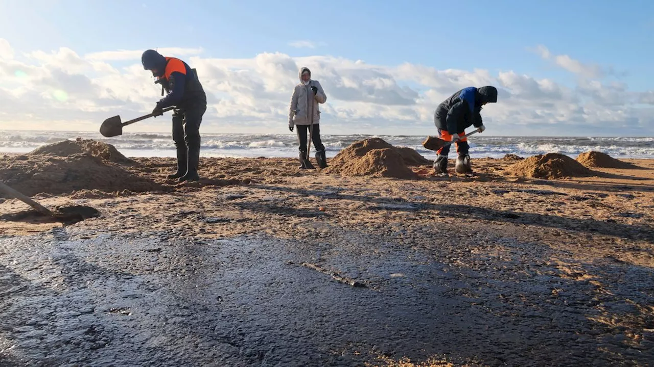 Ölpest im Schwarzen Meer - Tankerausbruch bedroht Ökosystem und russische Küste