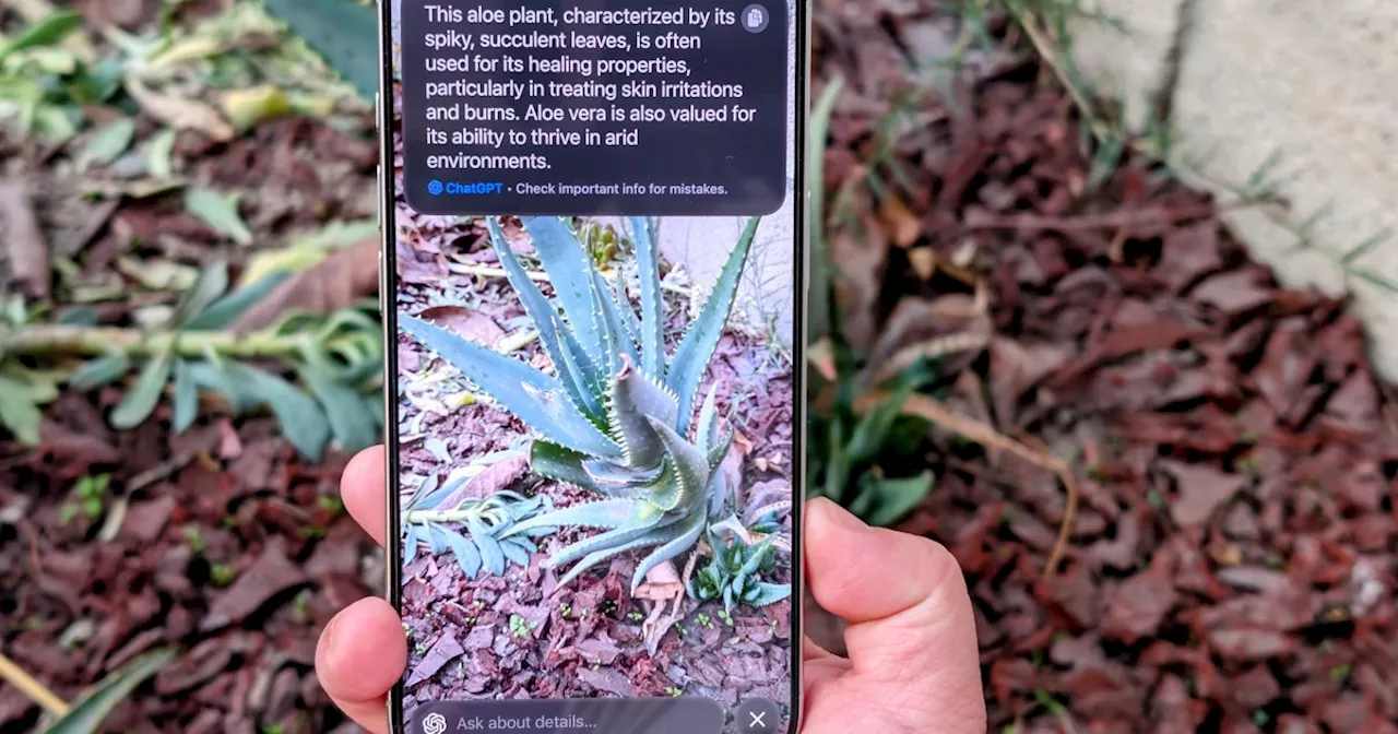 iOS 18.2 Makes iPhone 16's Camera Control Button Worth Using