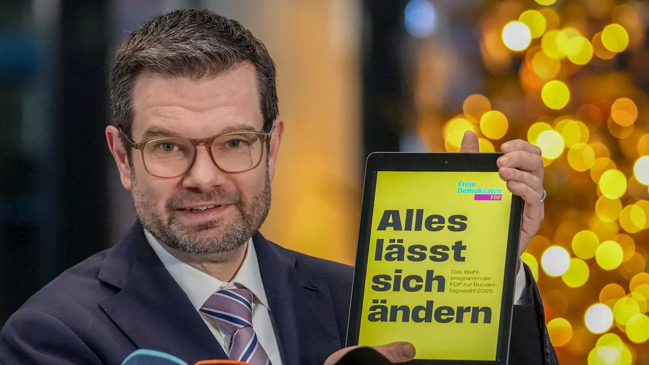 FDP plant Steuerstundungen und Sparpotenziale in Sozialsystem