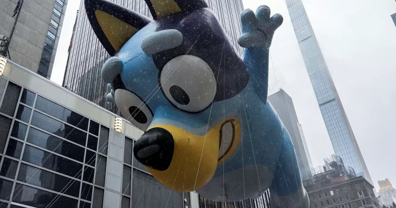 Bluey Movie Announced