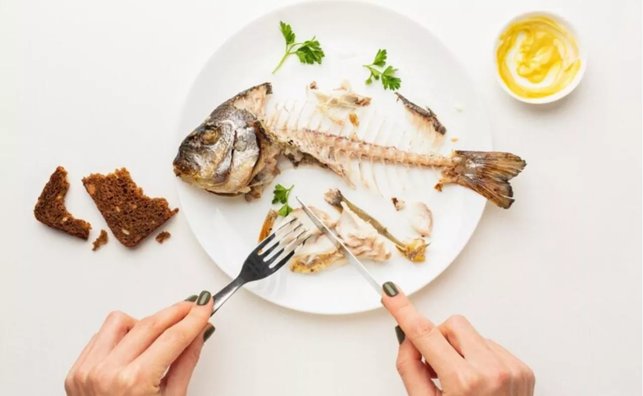 5 pescados saludables: descubre todas vitaminas que le aportan a tu salud