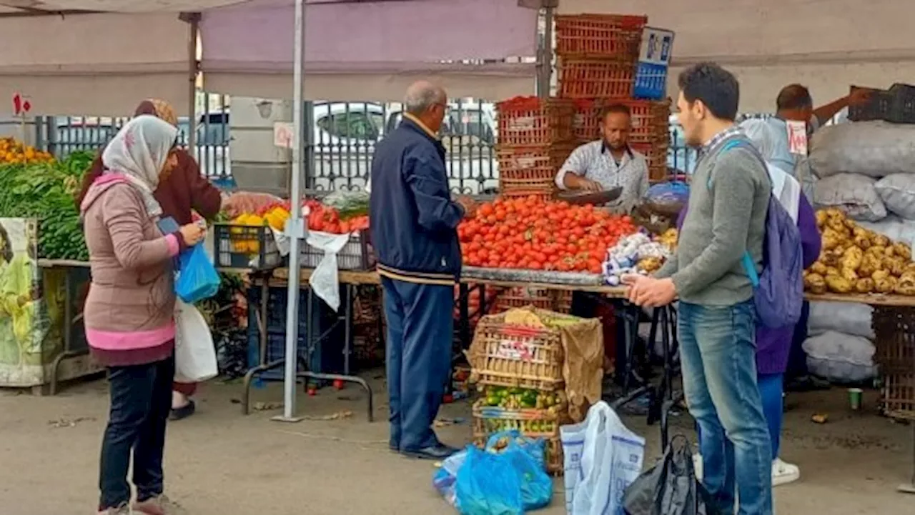 سوق اليوم الواحد ينطلق بالجمرك والمنتزه ثان في الإسكندرية