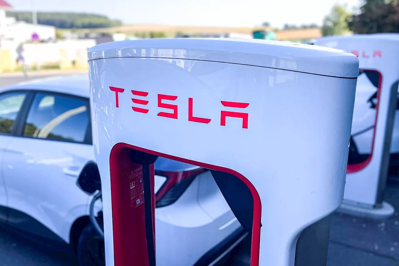 Fälschungsbrief über Tesla-Teststrecke in Potsdam