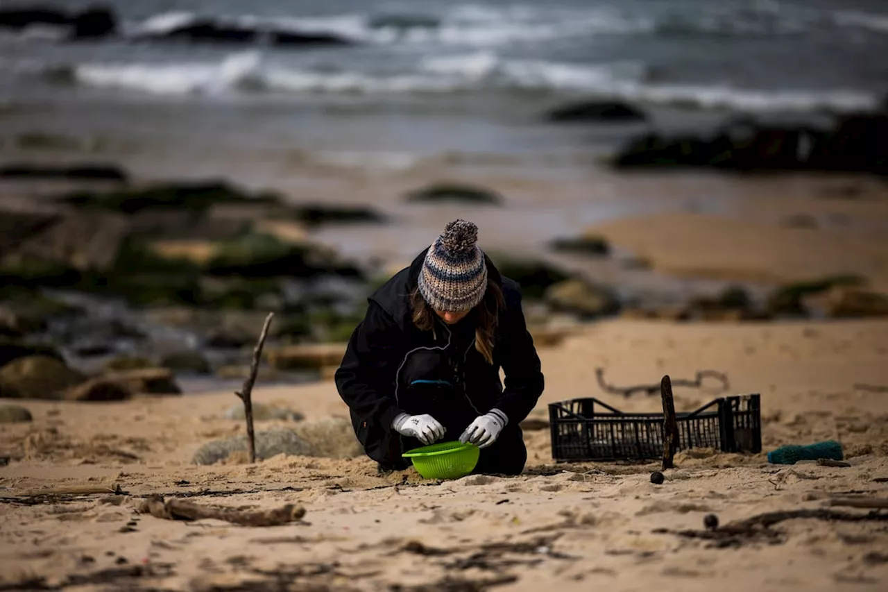 UE Avança em Leis para Prevenir Perda de Pelotas de Plástico no Mar