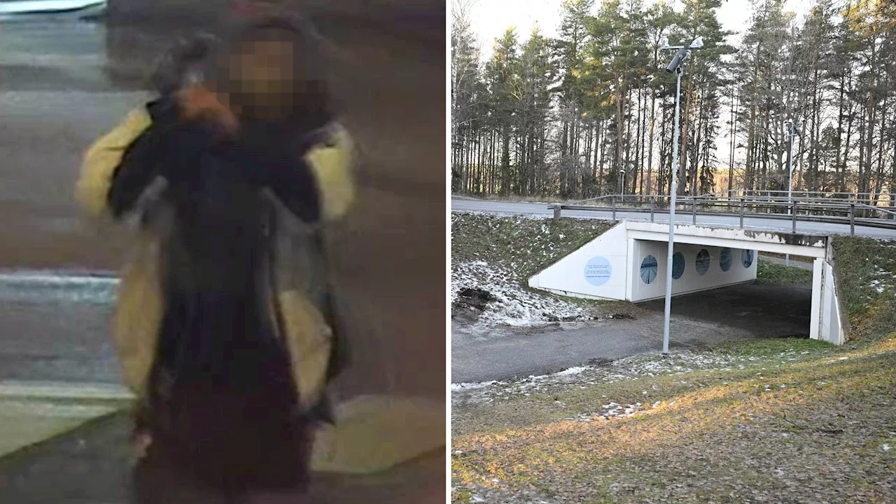 Man (38) häktad för mord på kvinna i Stockholm