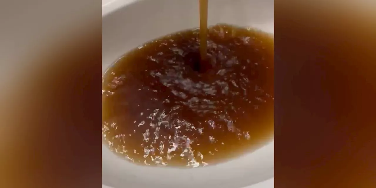 FOX10 Investigates: Saraland residents concerned about brown water