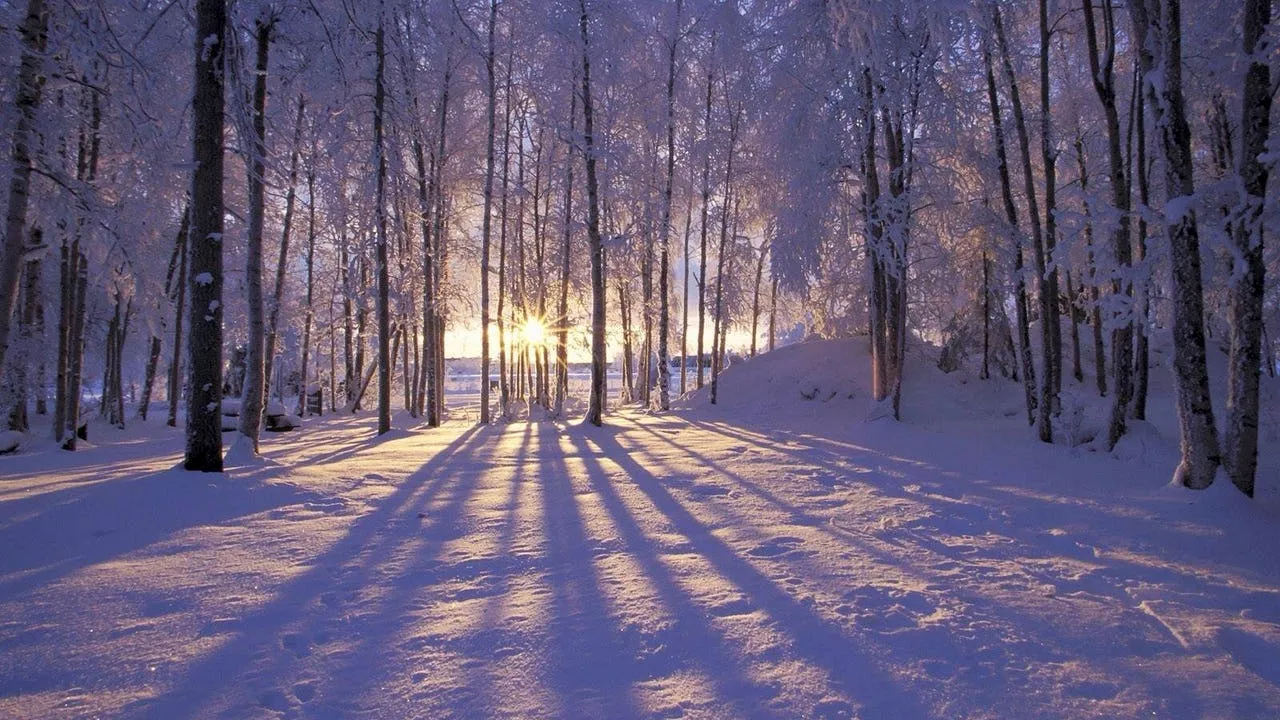 Winter Solstice Arrives in Western Washington, Marking Longest Night and Promise of Longer Days