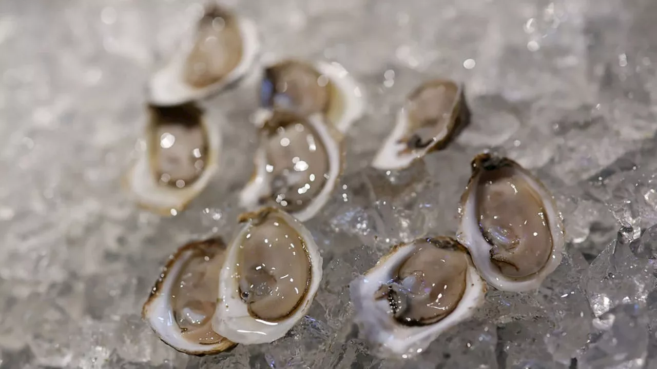 Norovirus Outbreak Leads to Oyster Recall by San Francisco Company