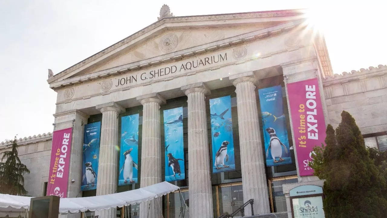 Free Admission Days at Chicago's Iconic Museums and Attractions