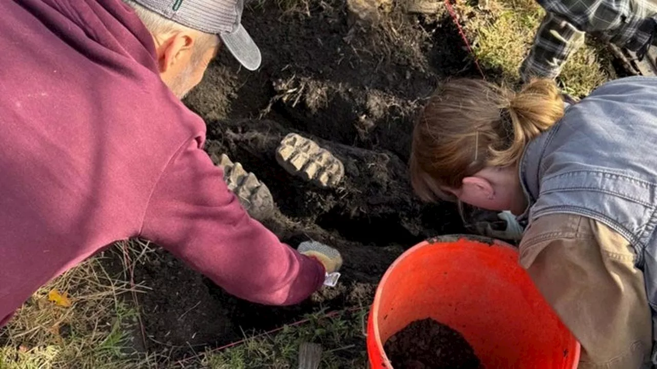 Dinosaur Jaw Found in New York Backyard