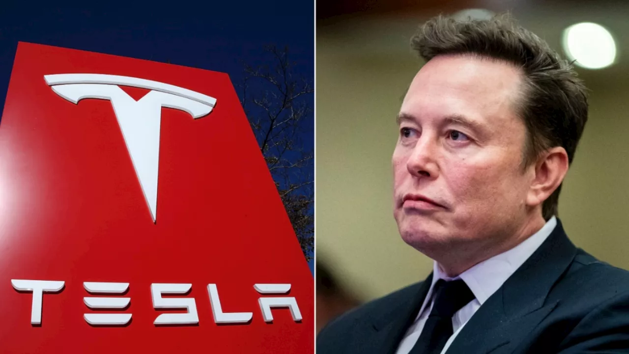 Delaware Judge Awards $345 Million in Legal Fees in Elon Musk Case, Sparking Tort Reform Calls