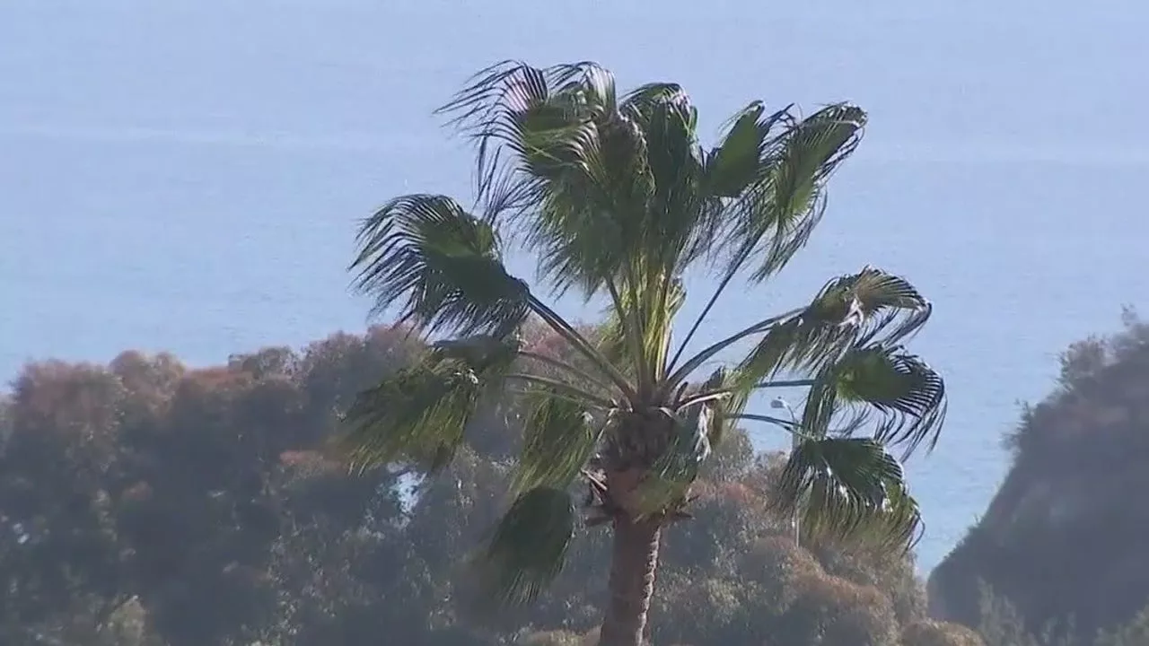 Firefighters Monitor Hotspots in Malibu Amid Wind and Dry Conditions