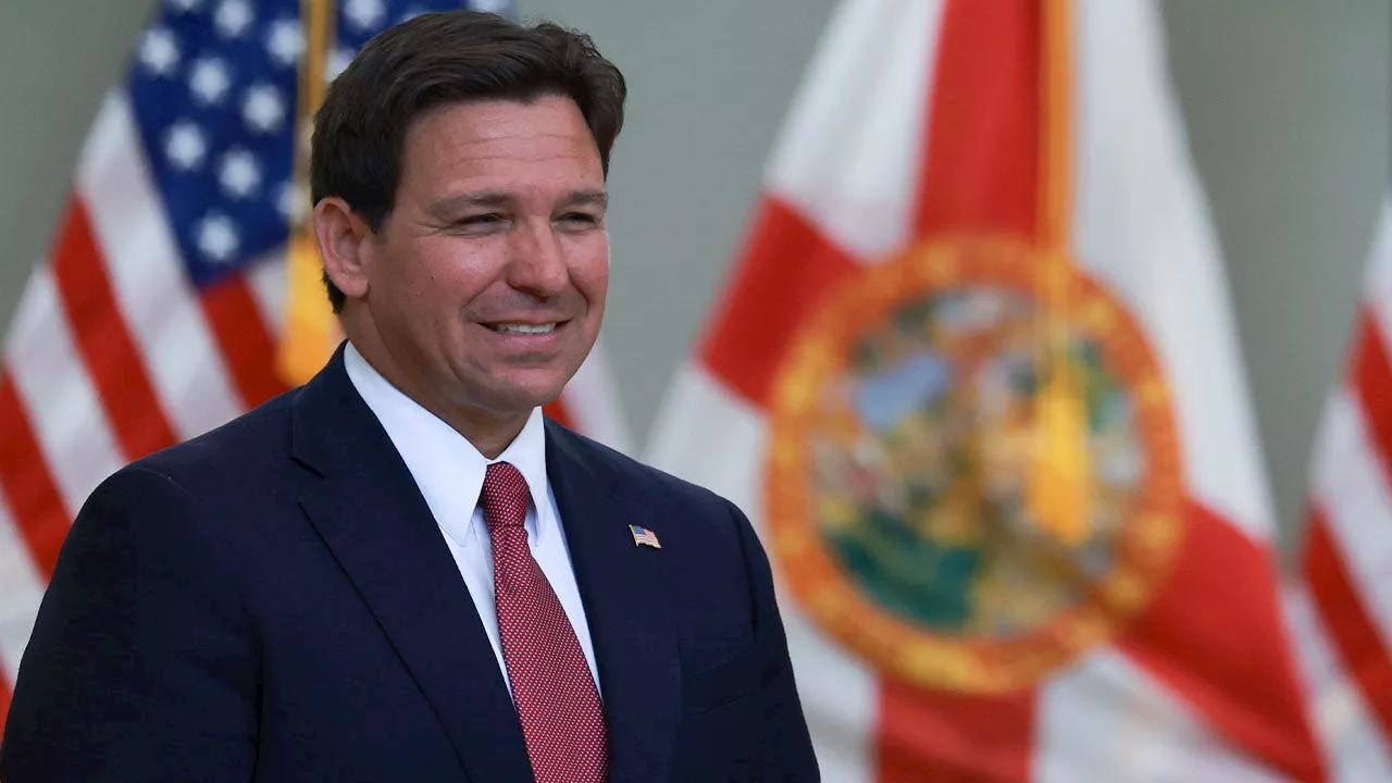 DeSantis Blasts 'False Media Narrative' on Illegal Immigration as Florida Sees Economic Growth