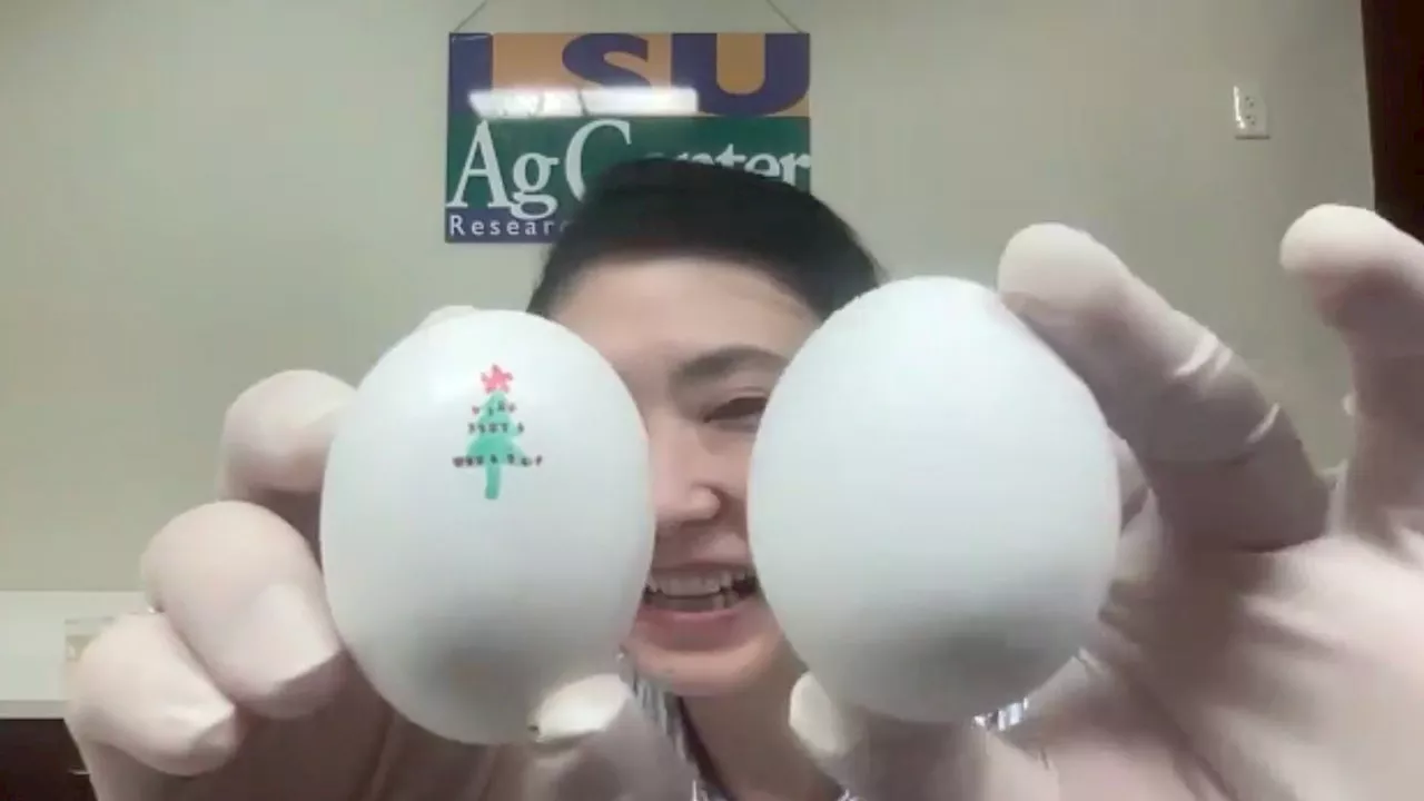 LSU Scientists Extend Raw Egg Shelf Life to Seven Weeks