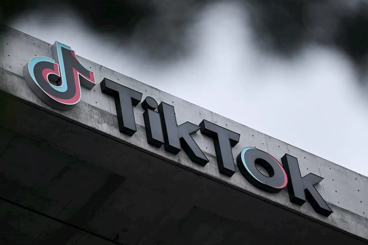 Supreme Court to Hear TikTok's Appeal Against US Ban