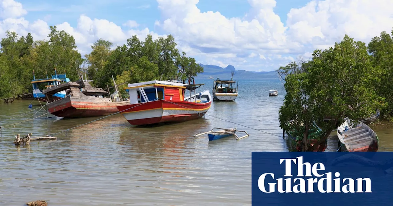 Six Chinese Men Land in Indonesian Mangroves on Suspected People Smuggling Attempt