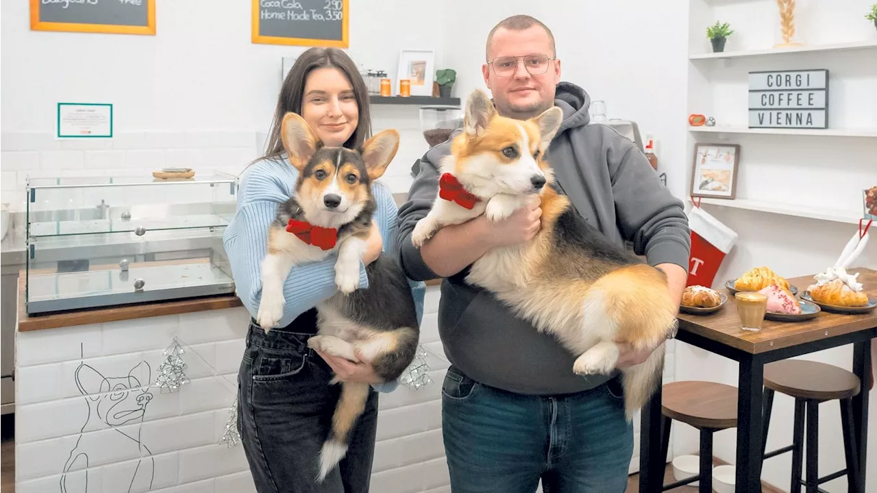 Österreichs Erste Corgi-Cafe Öffnet