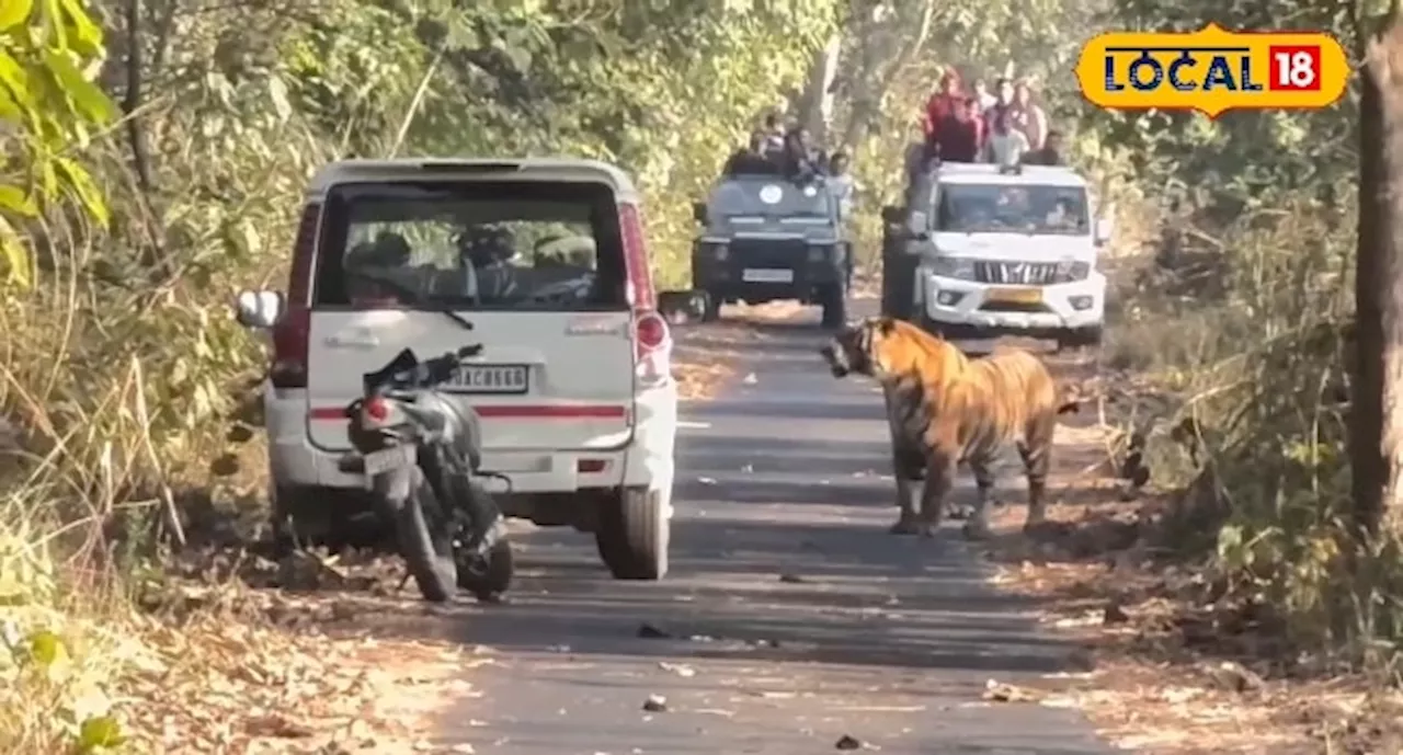 पीलीभीत टाइगर रिजर्व में सिंचाई विभाग कर्मचारियों पर कार्रवाई