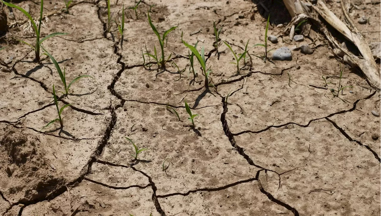 Ipbes: Interconnessione Ambiente e Salute Umana