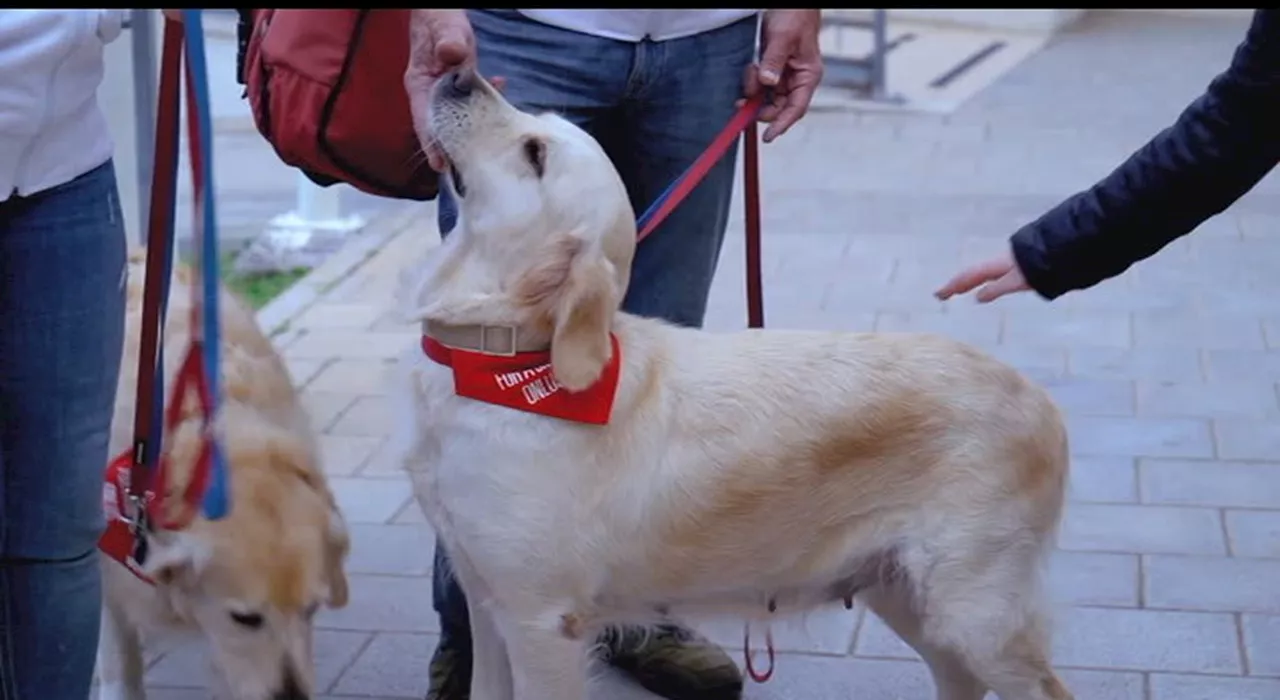 La 'Dog Pet Therapy' porta gioia e benessere ai bambini in ospedale