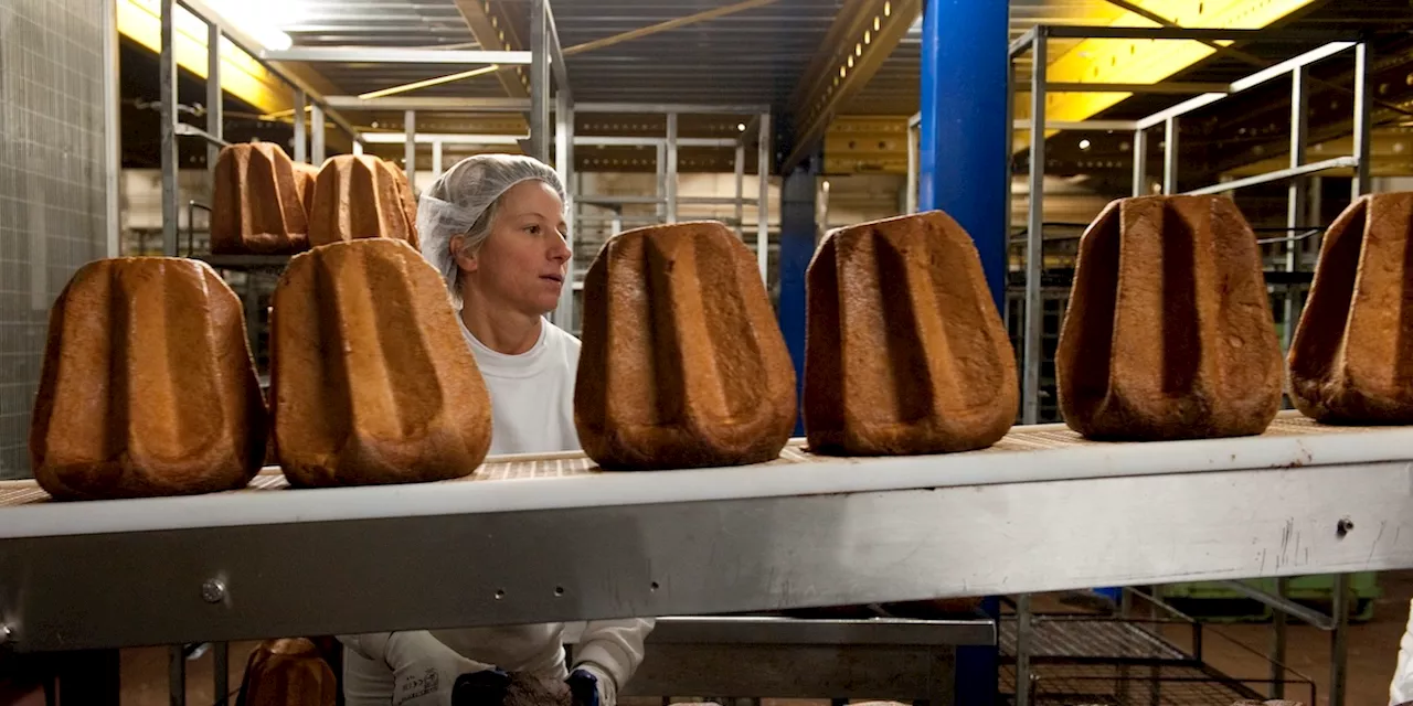 Pandoro vs Panettone: La moda artigianale non ha toccato il dolce natalizio